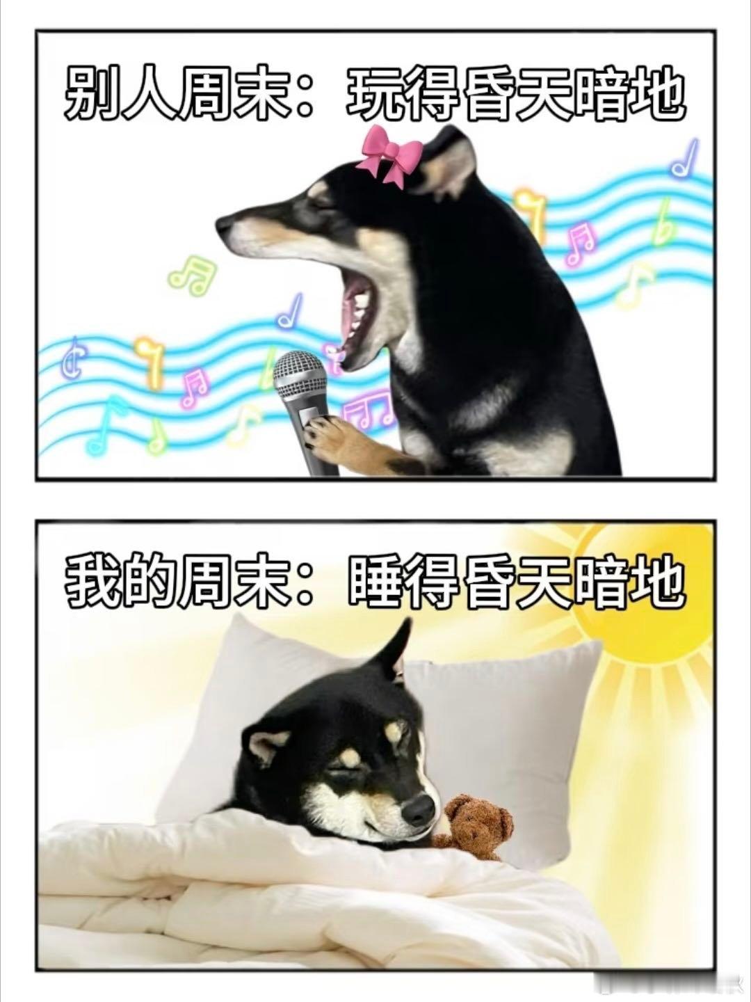 周末计划vs实际周末计划周末骑行兜风，现实瘫在沙发一动不动。懒得折腾出门，点份解