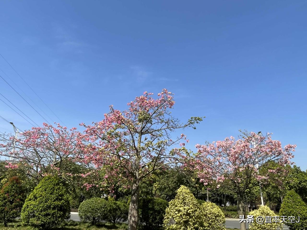 分享一张天空美照