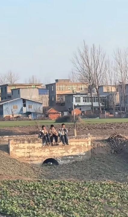 放学后的玩乐。放学的热闹情景 放学的孩子 放学沿途的风景