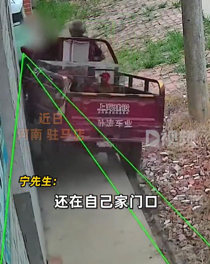【：不可思议，家里还暂时帮老人养鸡】 近日，河南驻马店。一男子站在家门口吃玉米，