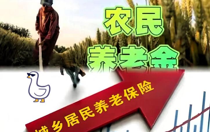 职工医保的事刚落地，
农村养老金又传来大消息！
2026年1月1号起，城乡居民养