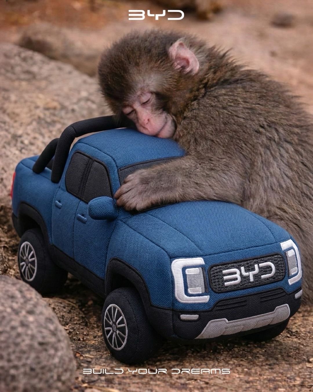 好可爱！！（尖叫电车出海大v聊车比亚迪