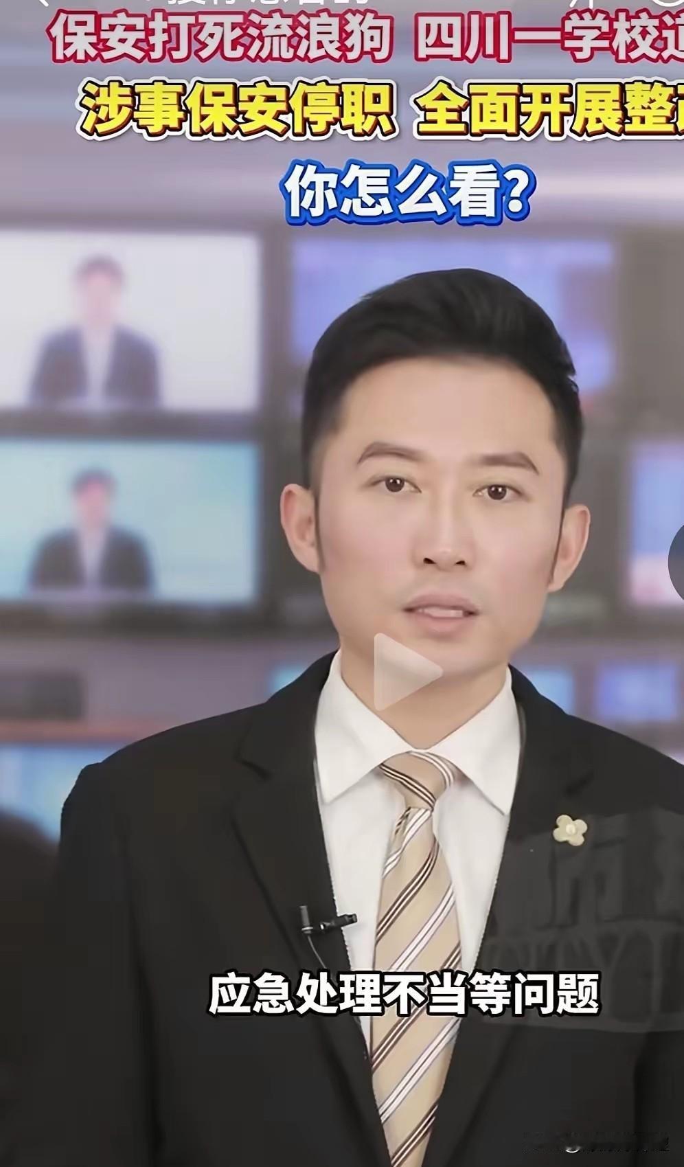 这事儿真让人看不懂，保安打死只流浪狗，怎么就成了罪人了？还得停职道歉？

我就想