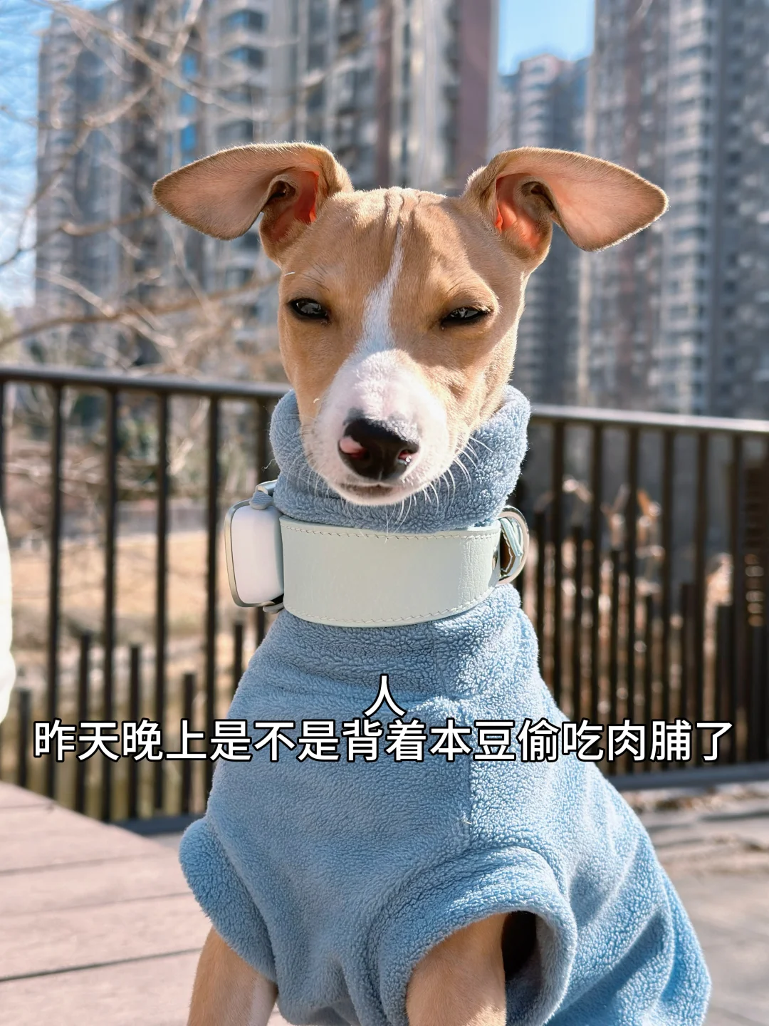 有点奸人的样子了
