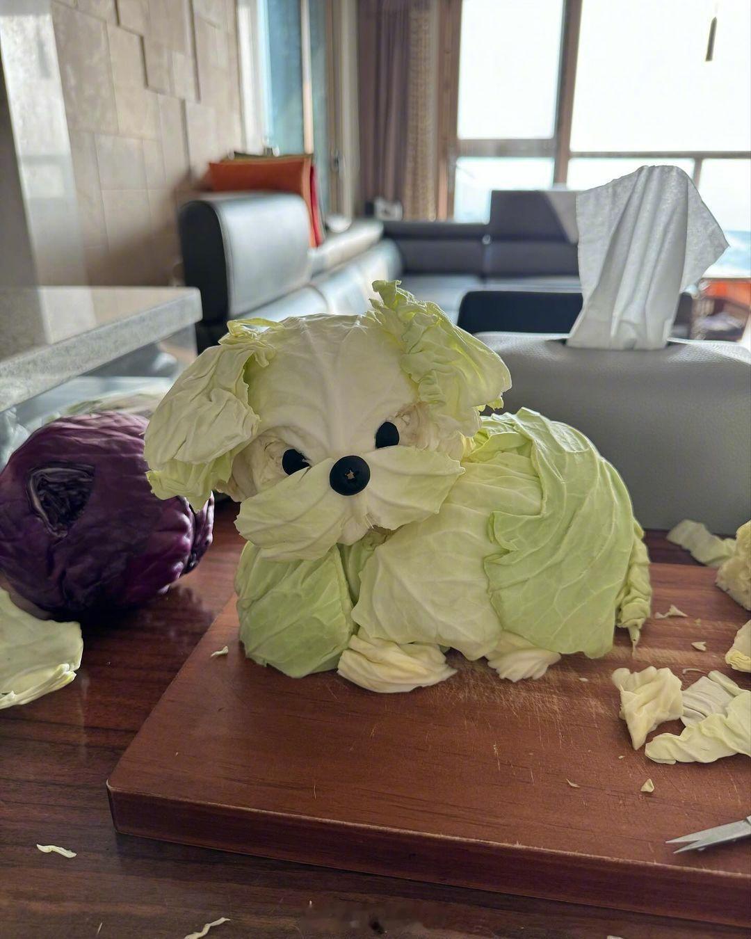 韩国网友做的卷心菜狗🥬🐶[doge] ​​​