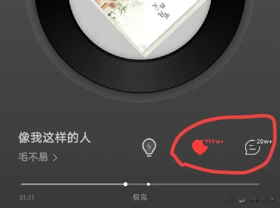 无意中看到毛不易《像我这样的人》，这首歌有999万个赞，28万5千多条评论，看来