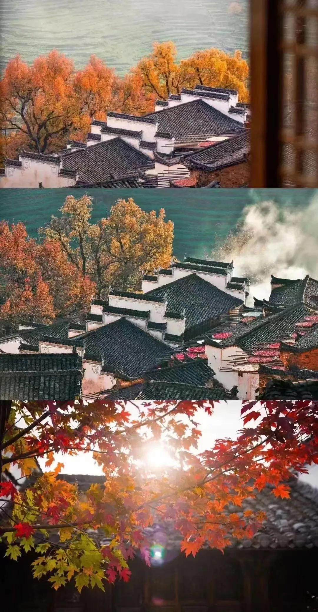 #一句话记录秋日心情#秋风送爽，叶落纷飞，心中涌起对故人的淡淡思念，仿佛在这清凉
