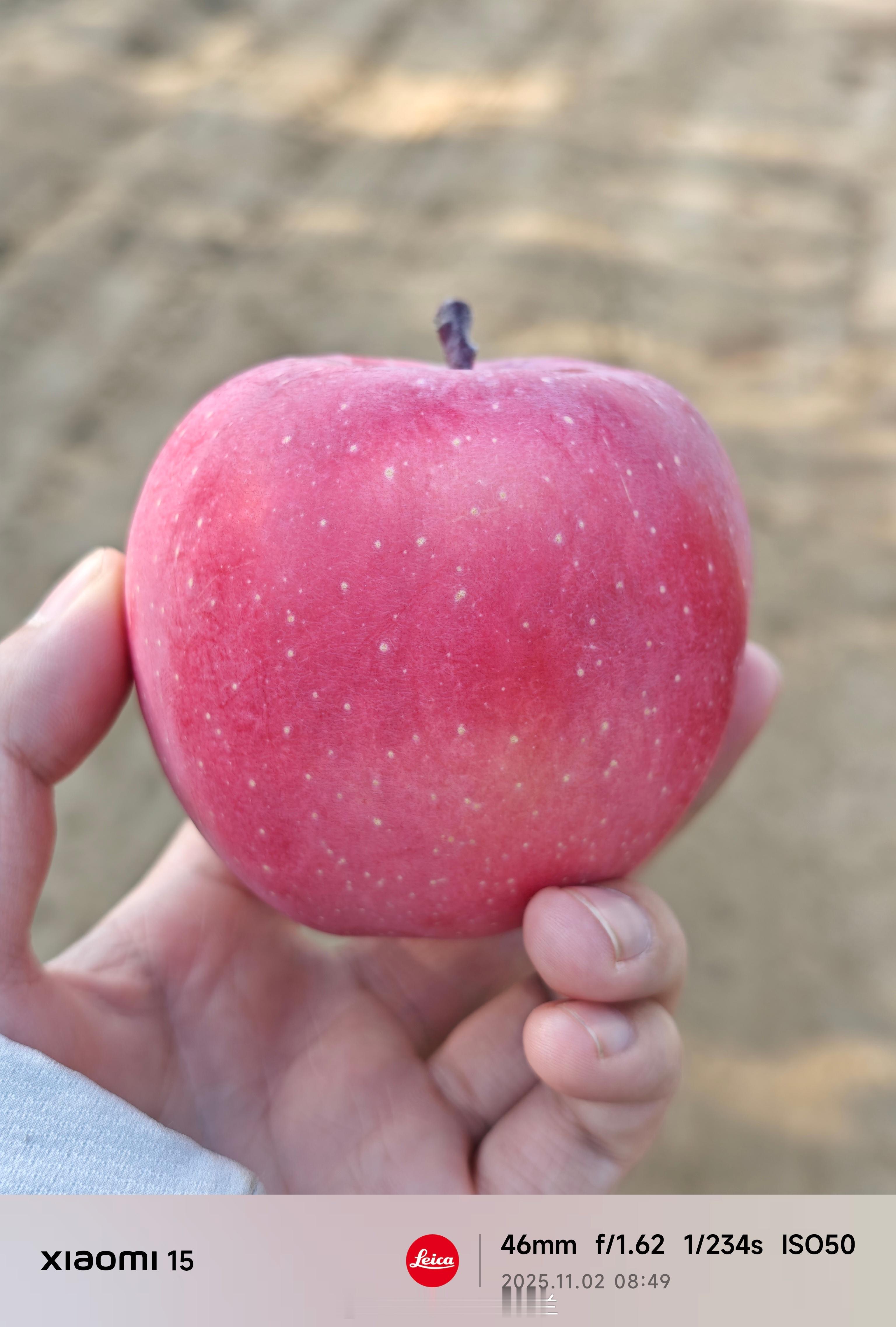 苹果吃不吃  ​​​