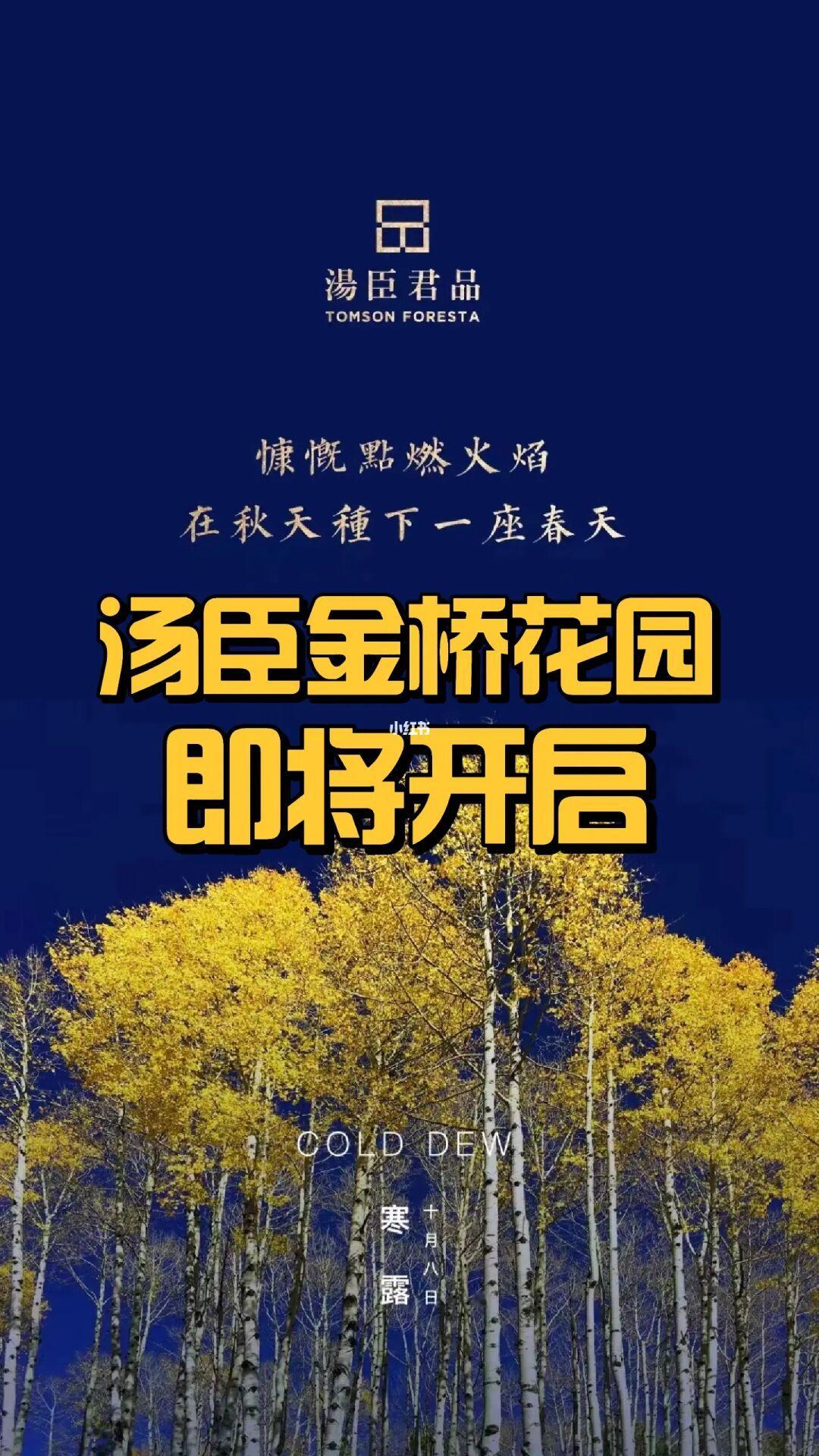 【新房】汤臣金桥花园❗❗即将开启❗❗❗