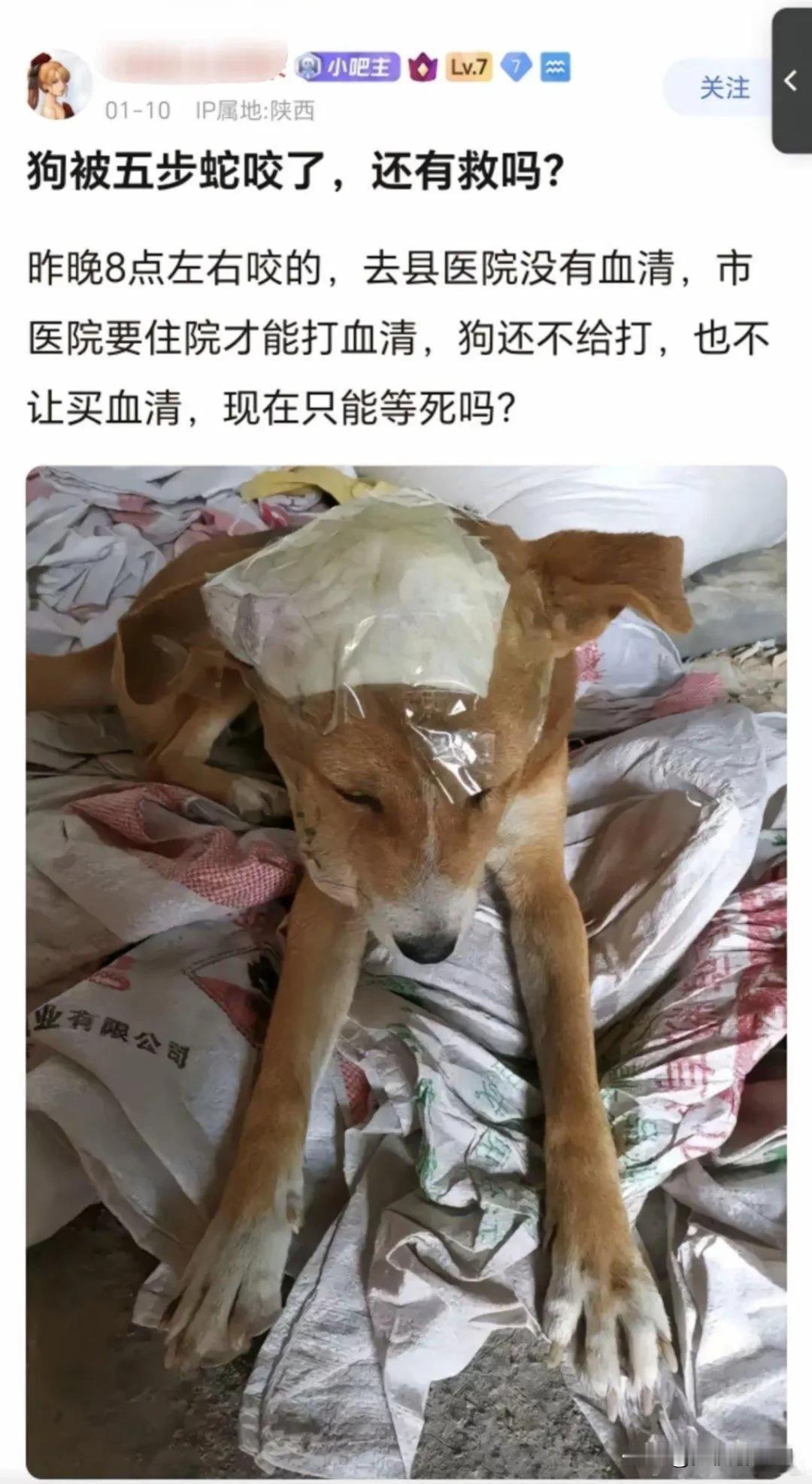 真的太对不起狗子了，怎么能这样[发怒][发怒][发怒]