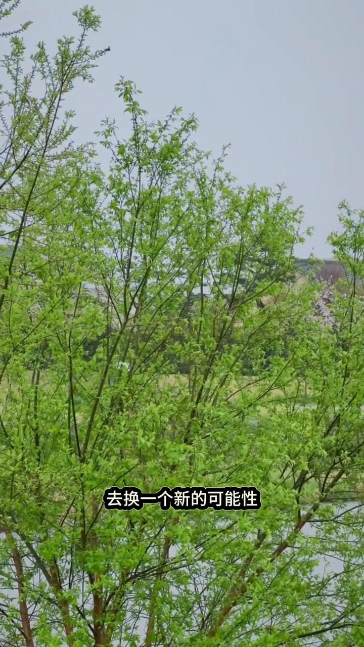 什么样的人才能真正破局？
很多人都在说一句话：我很想去国外，但我没钱。这句话在评