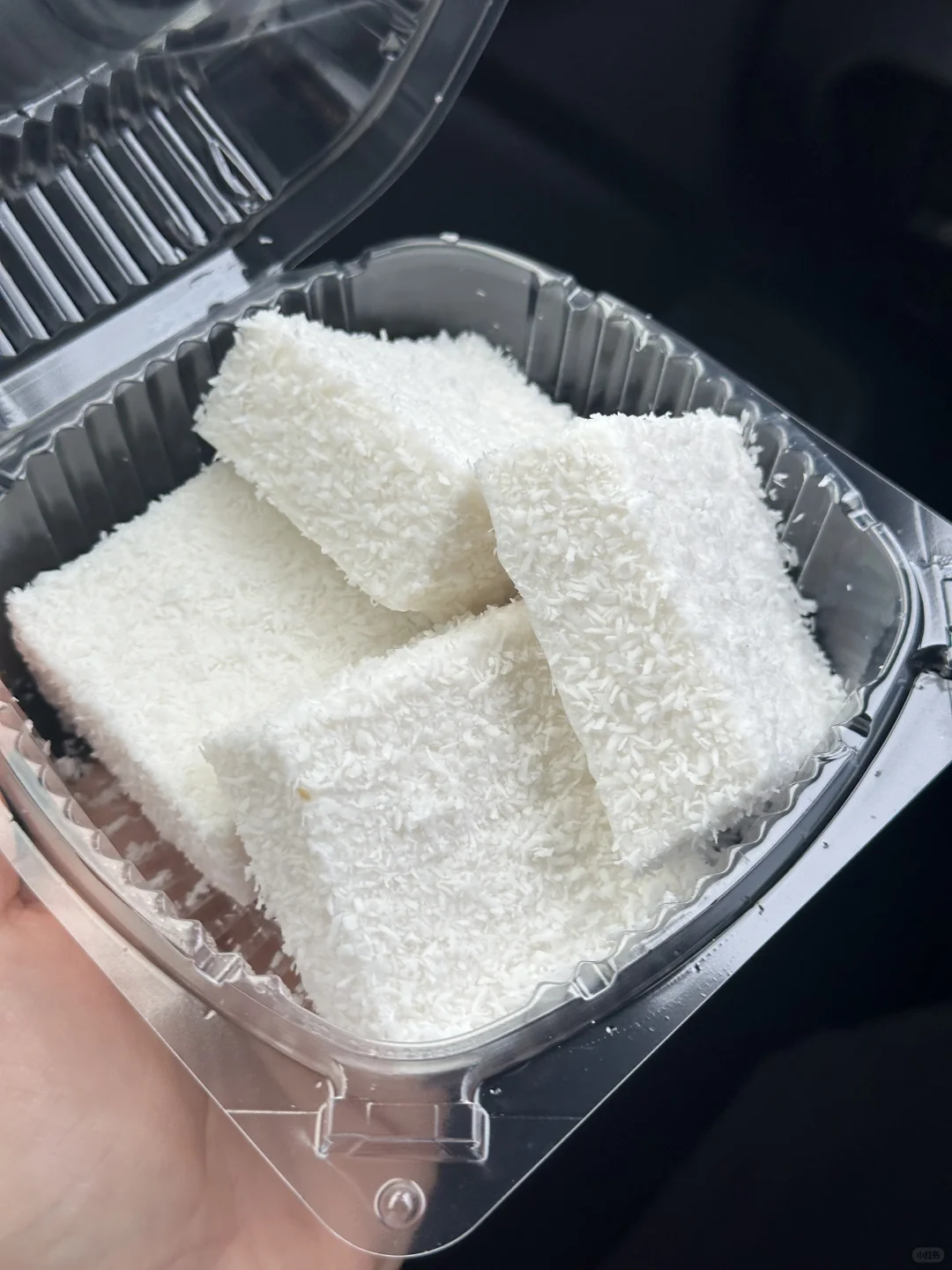 波士顿｜谁能拒绝这一口椰子奶冻🥥