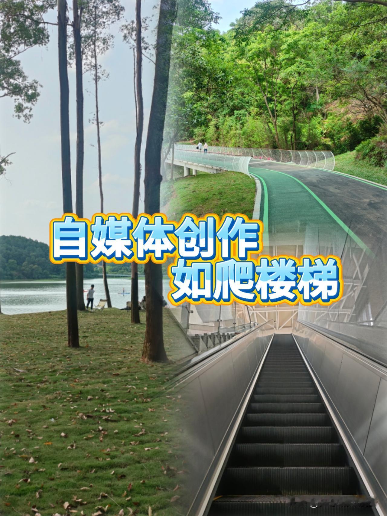 日常｜做自媒体最大的误区，就是一上来就想找捷径、求速成。

总想走套路蹭流量，可