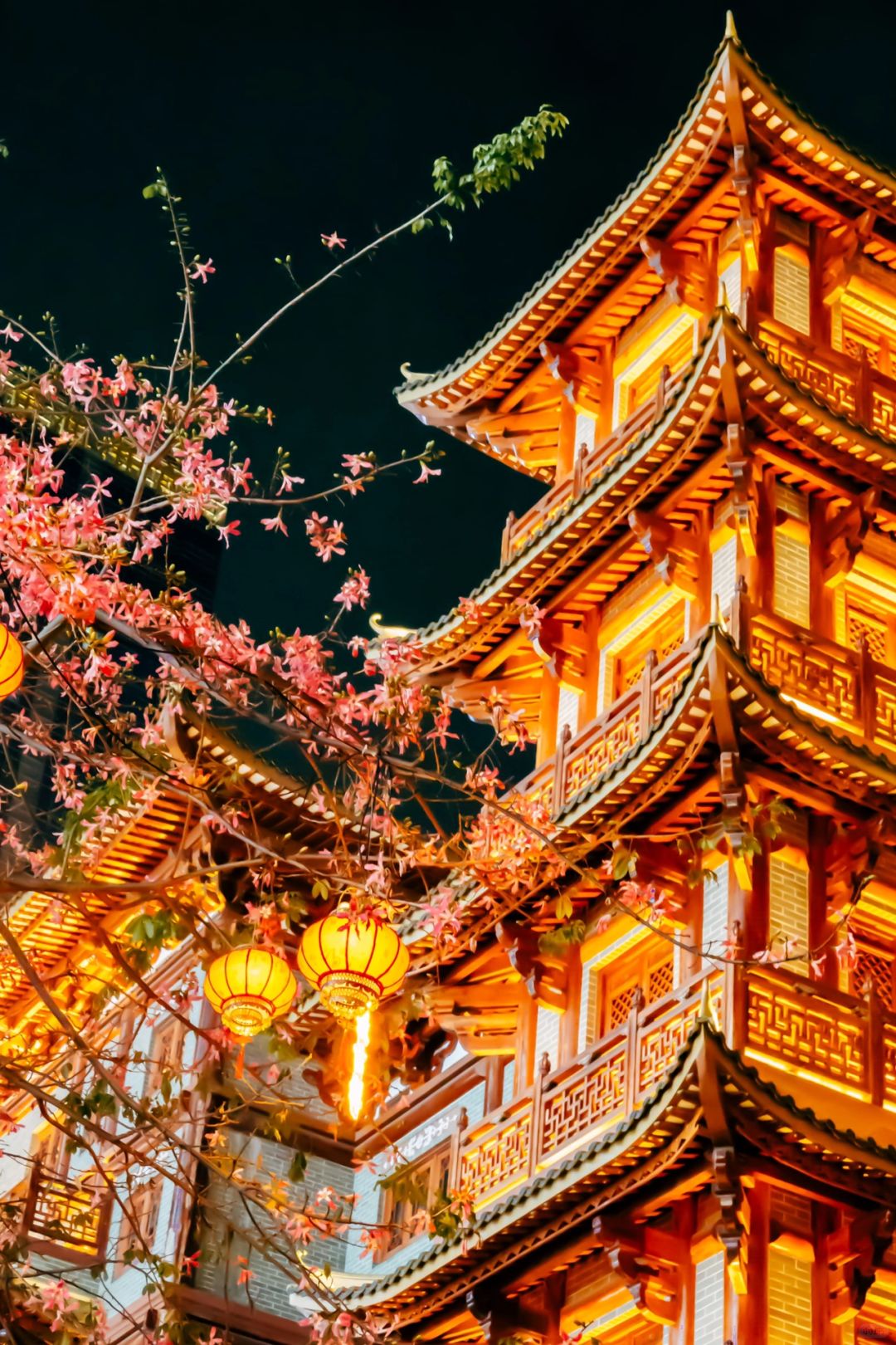 春游记｜不愧是广州‼️一树繁花开出千年浪漫