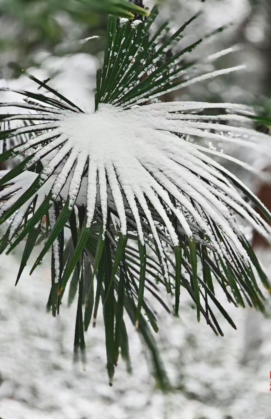 被现实吞没的瞬间，眼泪只能往心里流
 
人活到一定年纪就会懂，有些委屈，没法说；