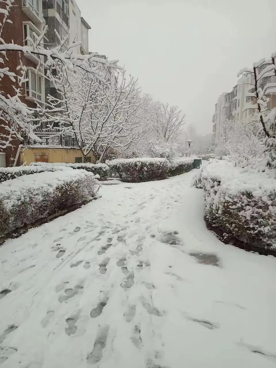 活到这把年纪我终于认了，这辈子没什么大出息，连女儿找工作，我一点忙都帮不上。
 