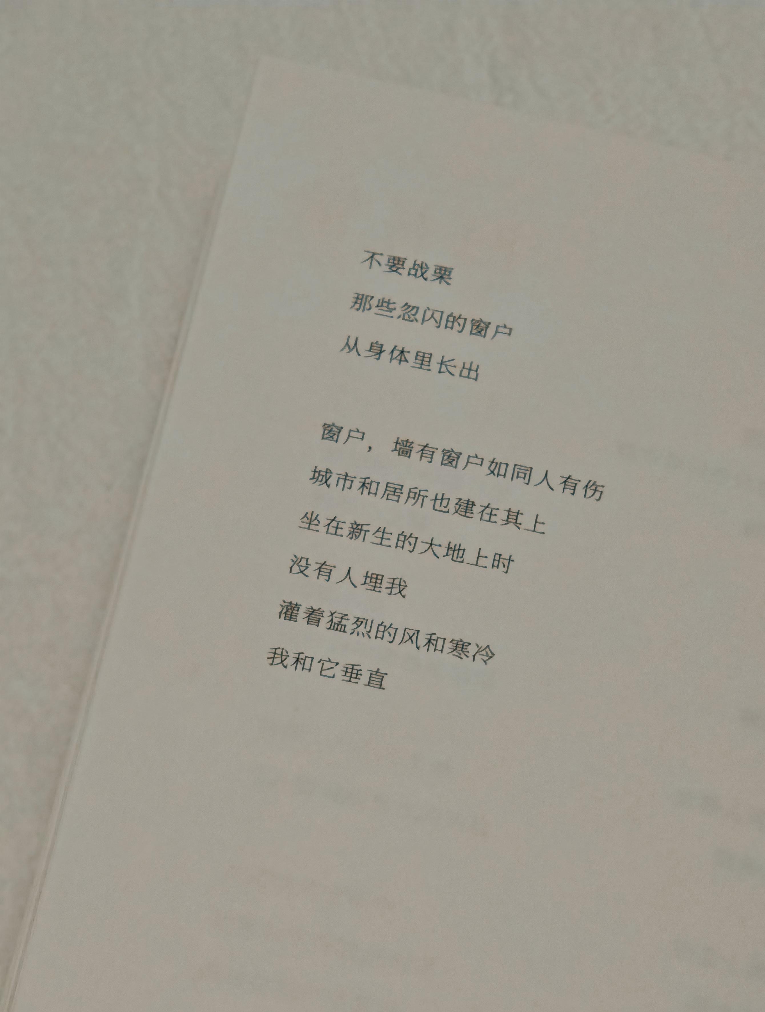 窗户，墙有窗户如同人有伤城市和居所也建在其上朱怀居 | 图书馆（节选） 