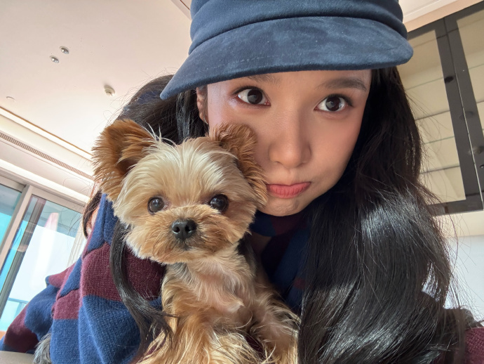 被张婧仪美萌的晕头转向，找不着头脑 