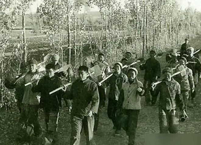1983年6月17日的清早，几个浑身是血的年轻女人冲进了牙克石镇派出所，嘴里喊着