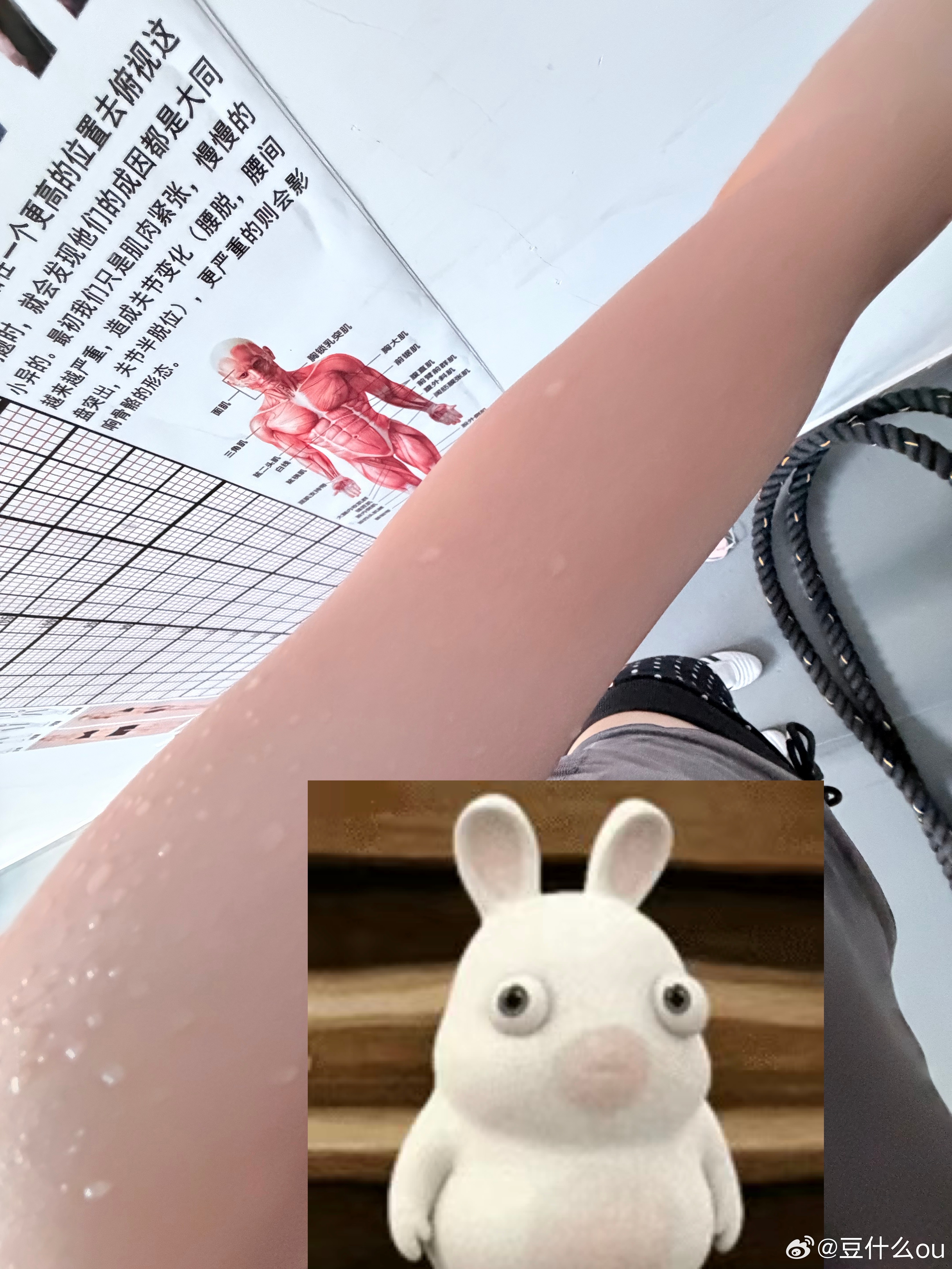 打卡。日常大学生喜爱内容共创计划