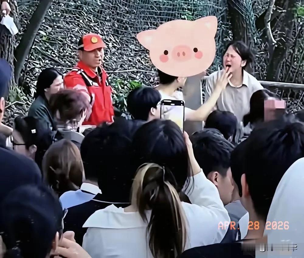 杭州北高峰这起“撞车”事件，连编剧都不敢这么下笔。

男方背着正牌女友，私下带着