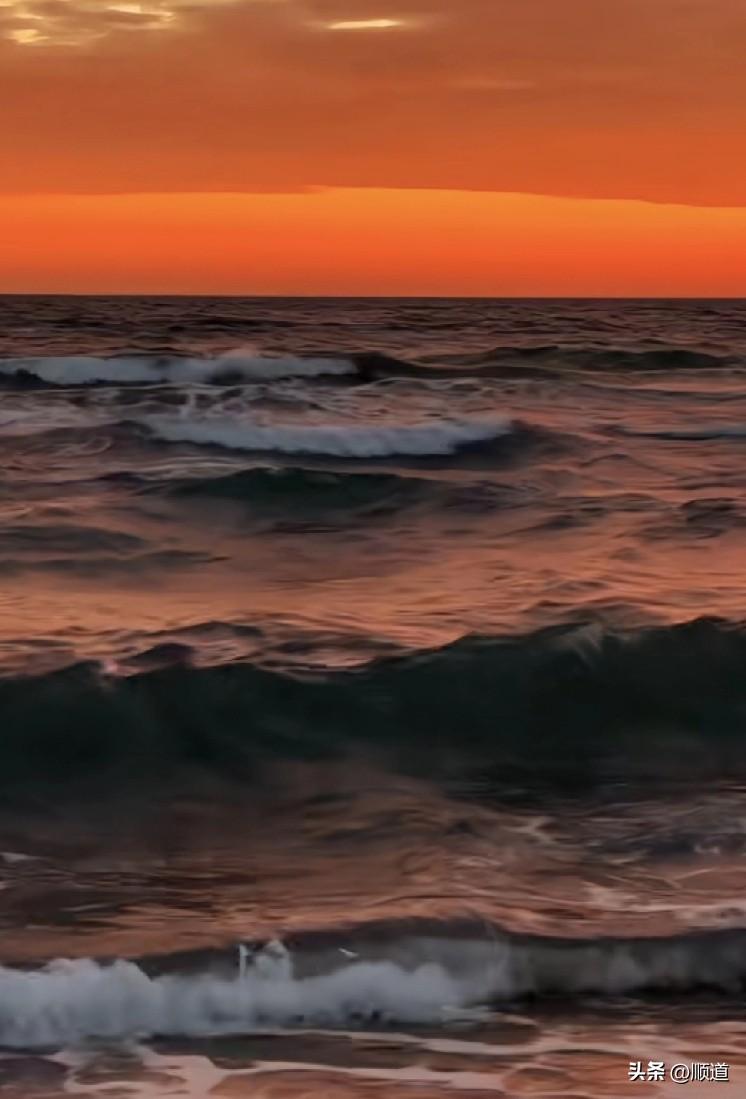 许多单身的，未婚的，离异的，丧偶的，无儿无女的，儿女不孝顺的，都有一个共同点，就