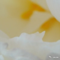 种植[超话]种植细细凝听他人的心事，微笑并鼓励，改变他们的路是善言的力量。 ​​