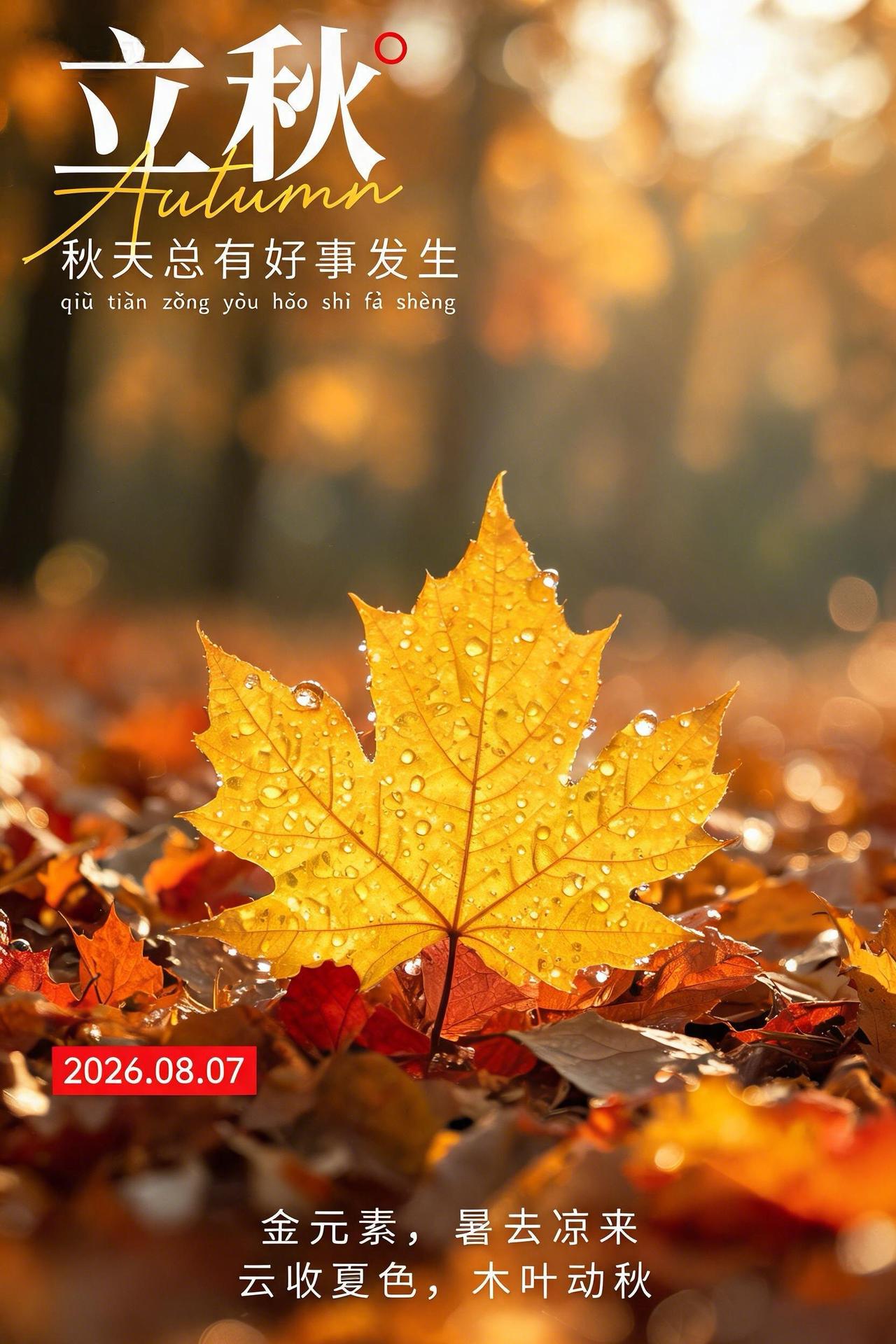 新晨问候，立秋吉祥✨！今日迎来二十四节气立秋，燥热慢慢褪去，清风裹着秋意扑面而来