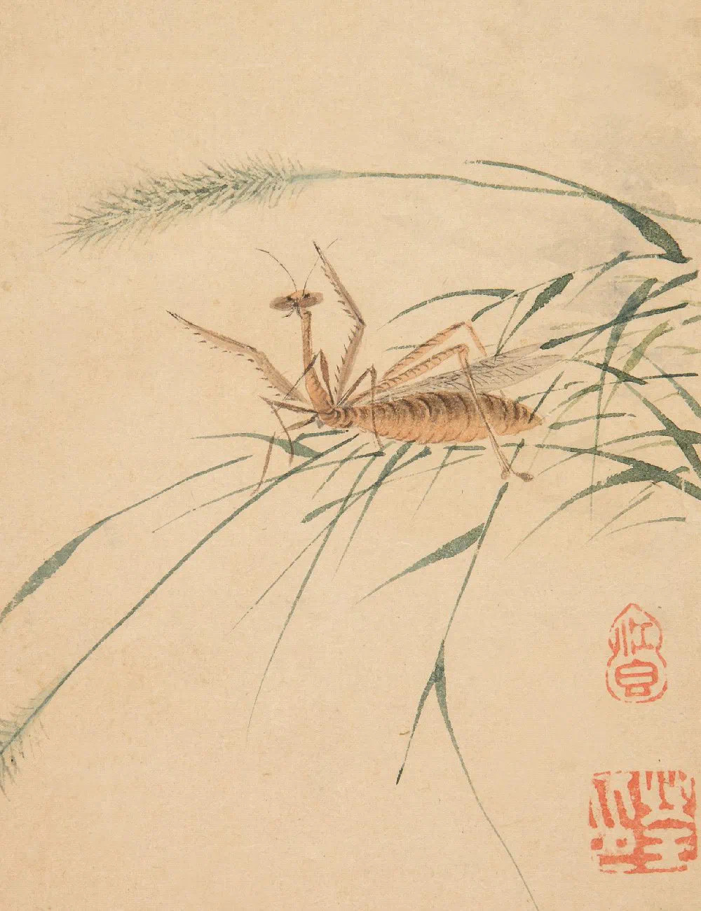清·马荃花鸟虫草图册 马荃，女，字江香，江苏常熟人。活动于清代康熙至乾隆年间，马