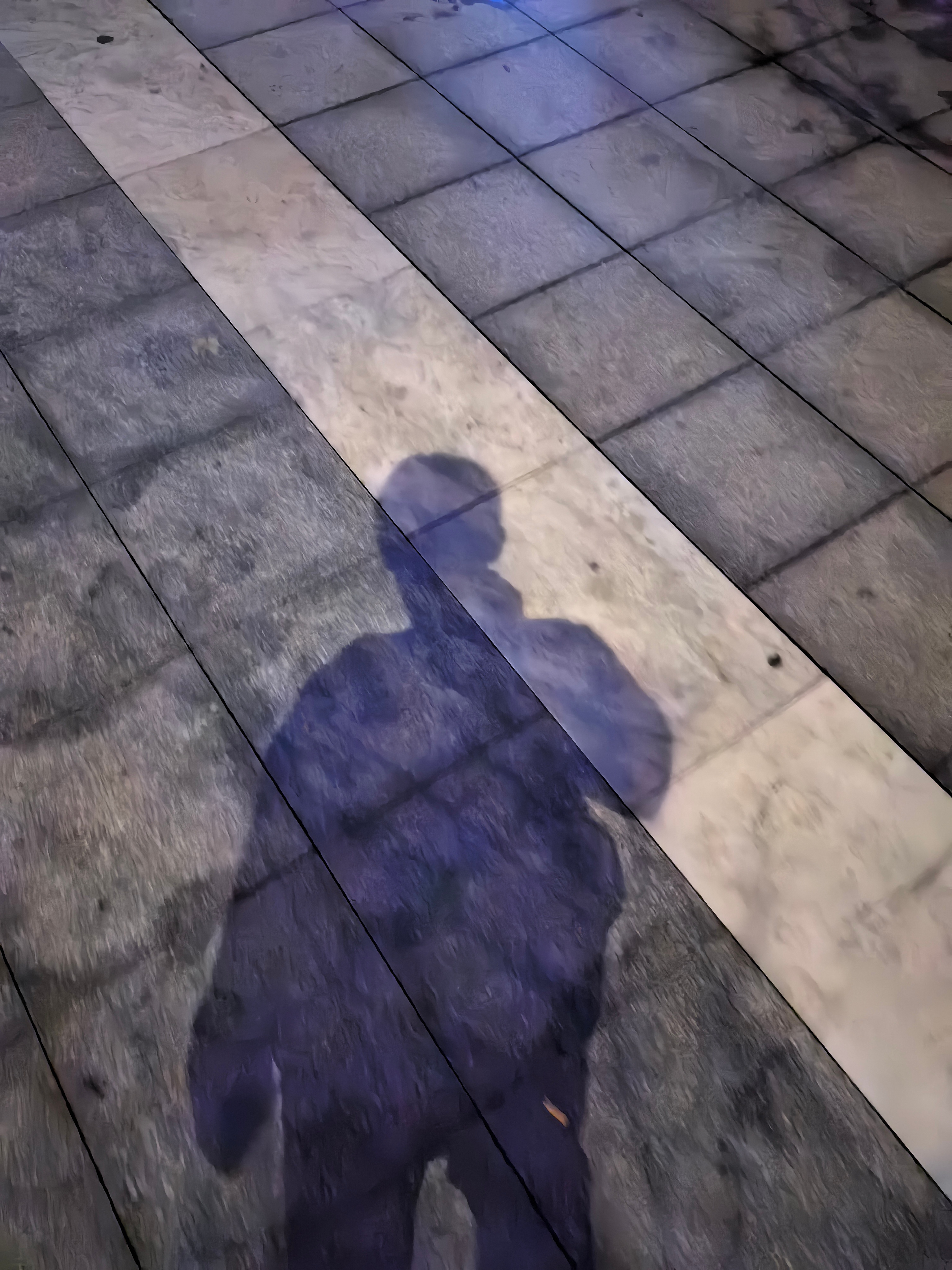 回家路上，低头是影子，抬头是月光。忽然就想起近千年前的《后赤壁赋》。霜露既降，木