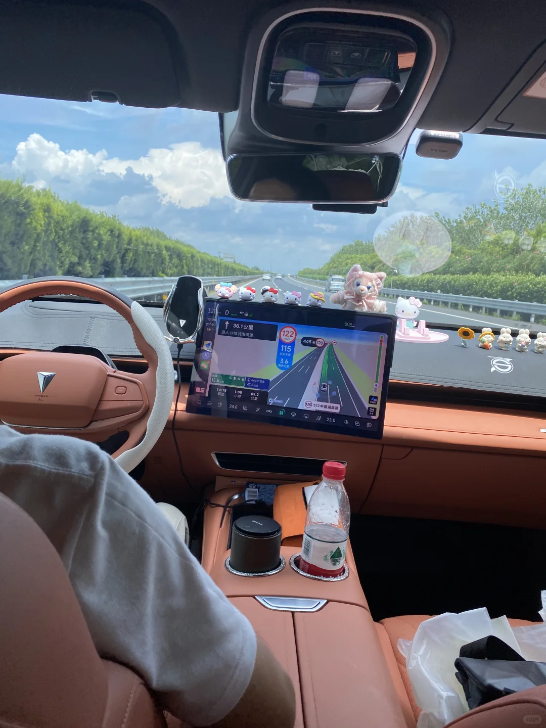 建议普通人不要碰任何新能源汽车🚗