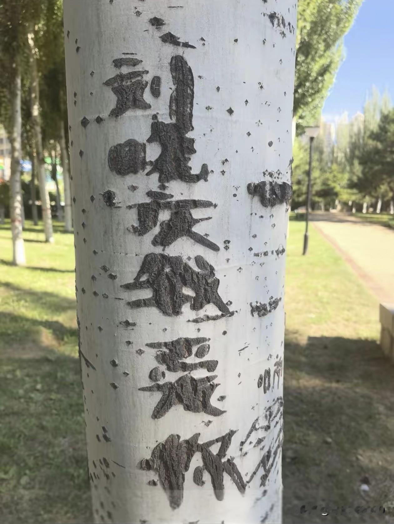 年轻时的刘晓庆也确实是漂亮，长得眉清目秀，虽然嘴偏大但是也不影响她的美观，反而是