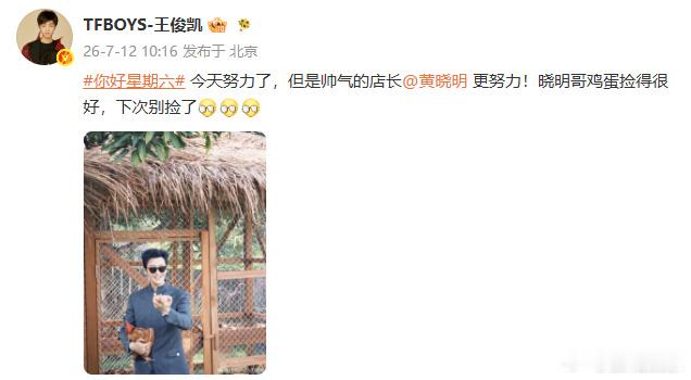 王俊凯夸黄晓明鸡蛋捡得很好王俊凯说黄晓明鸡蛋捡得很好下次别捡了王俊凯说黄晓明鸡蛋
