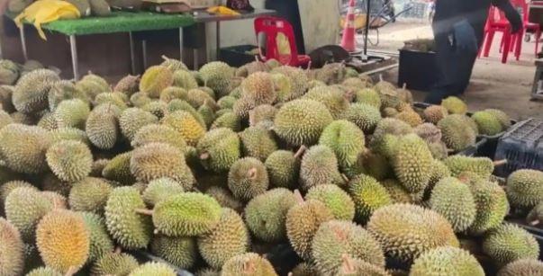 菲律宾的春秋大梦结束了，他们以为，只要果子熟了，中国人就一定会来买。
 
菲农业
