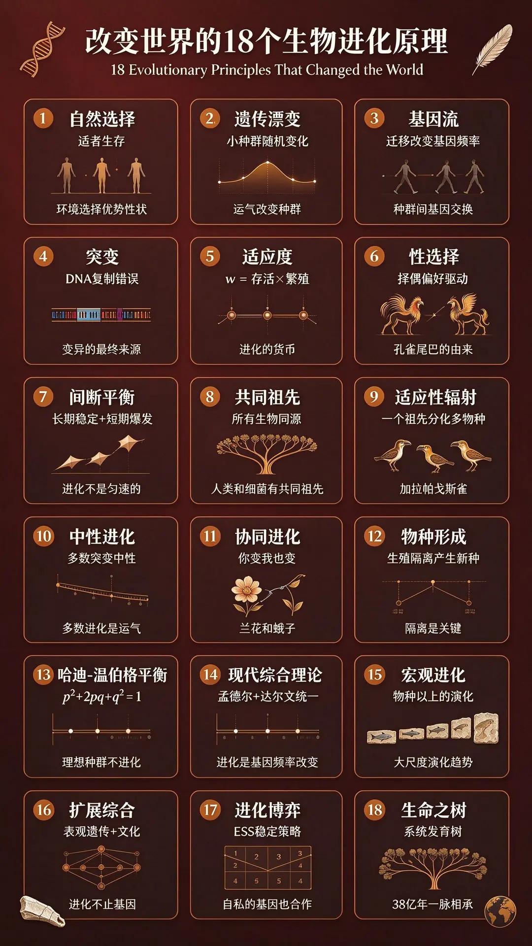 改变世界的18个生物进化原理。