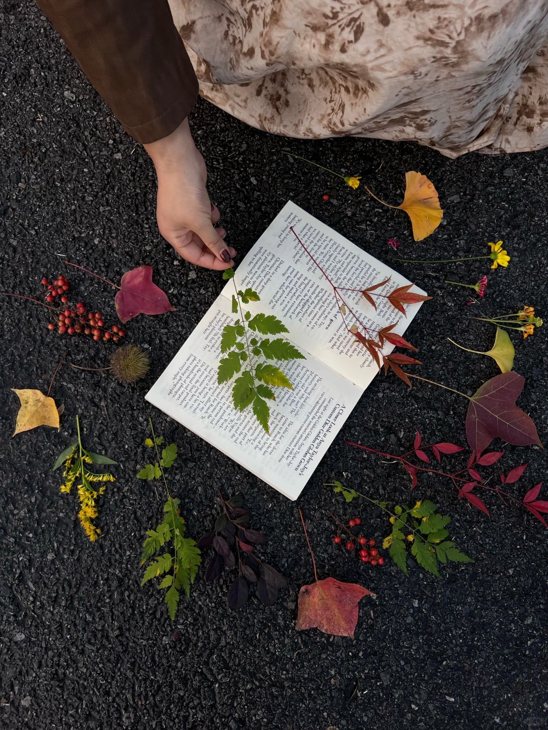 低头找秋天 | 快来天平山捡秋吧🍂