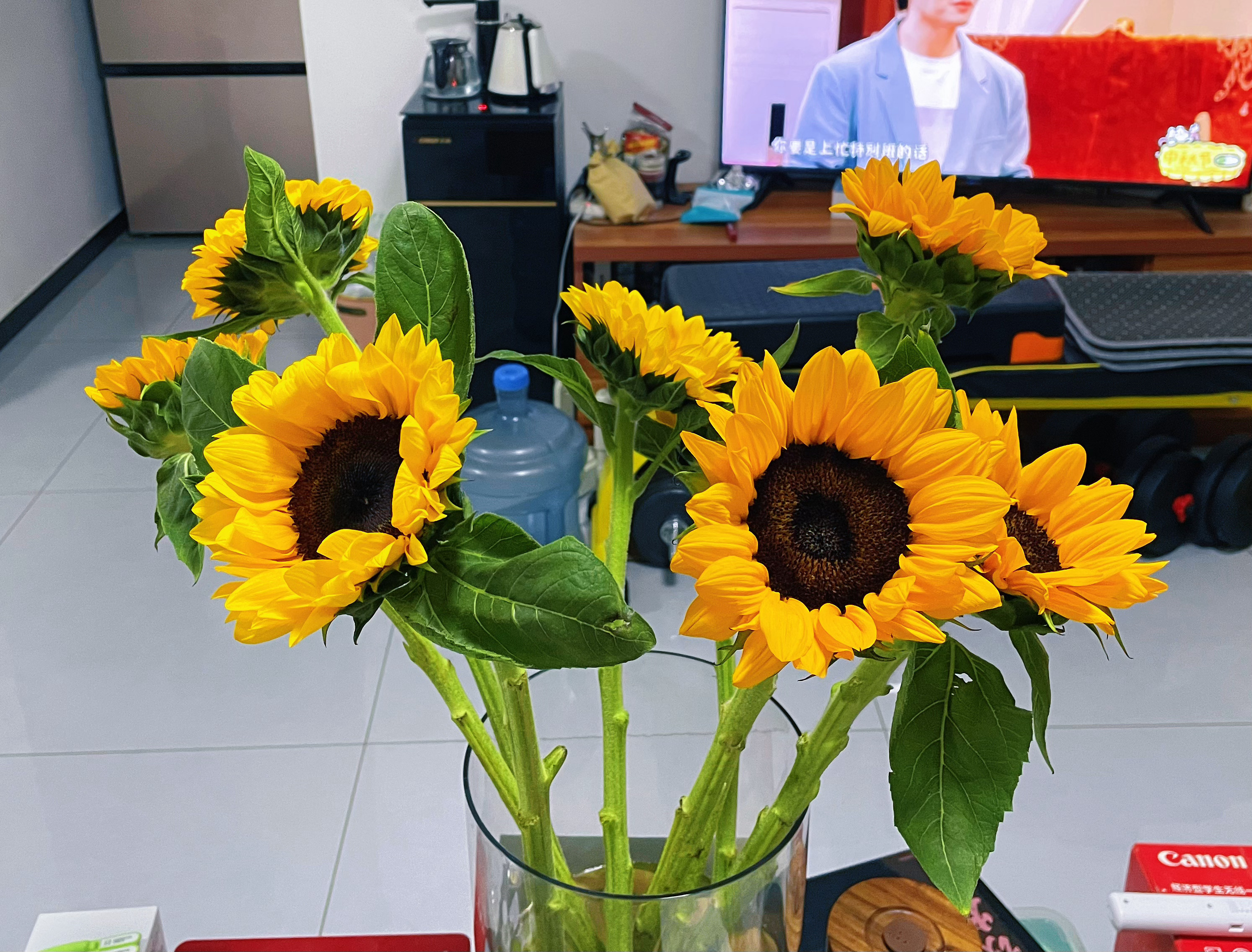 因为对尺寸没有概念，买了个超大直口的花瓶，八支向日葵🌻扔进去都显得花瓶里空空荡