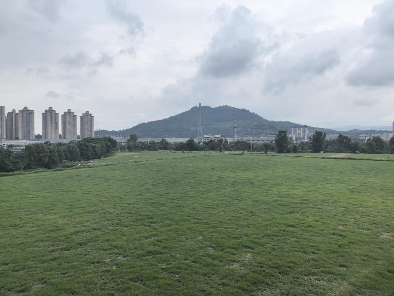重庆一东部新区大规模利用闲置土地种植草坪，既创造了经济价值，又美化了环境，还给市