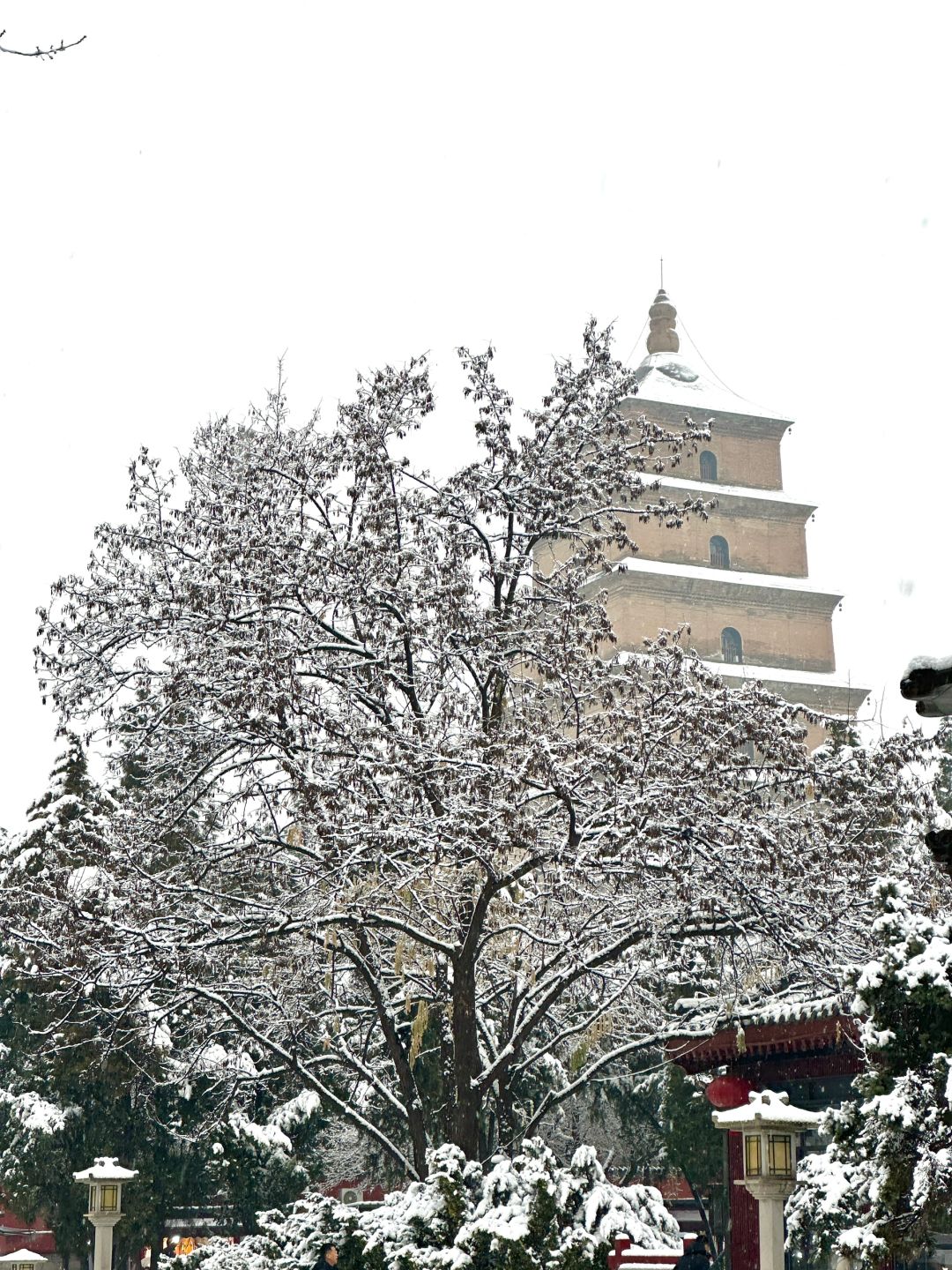长安城下雪啦‼️这才是live图的意义