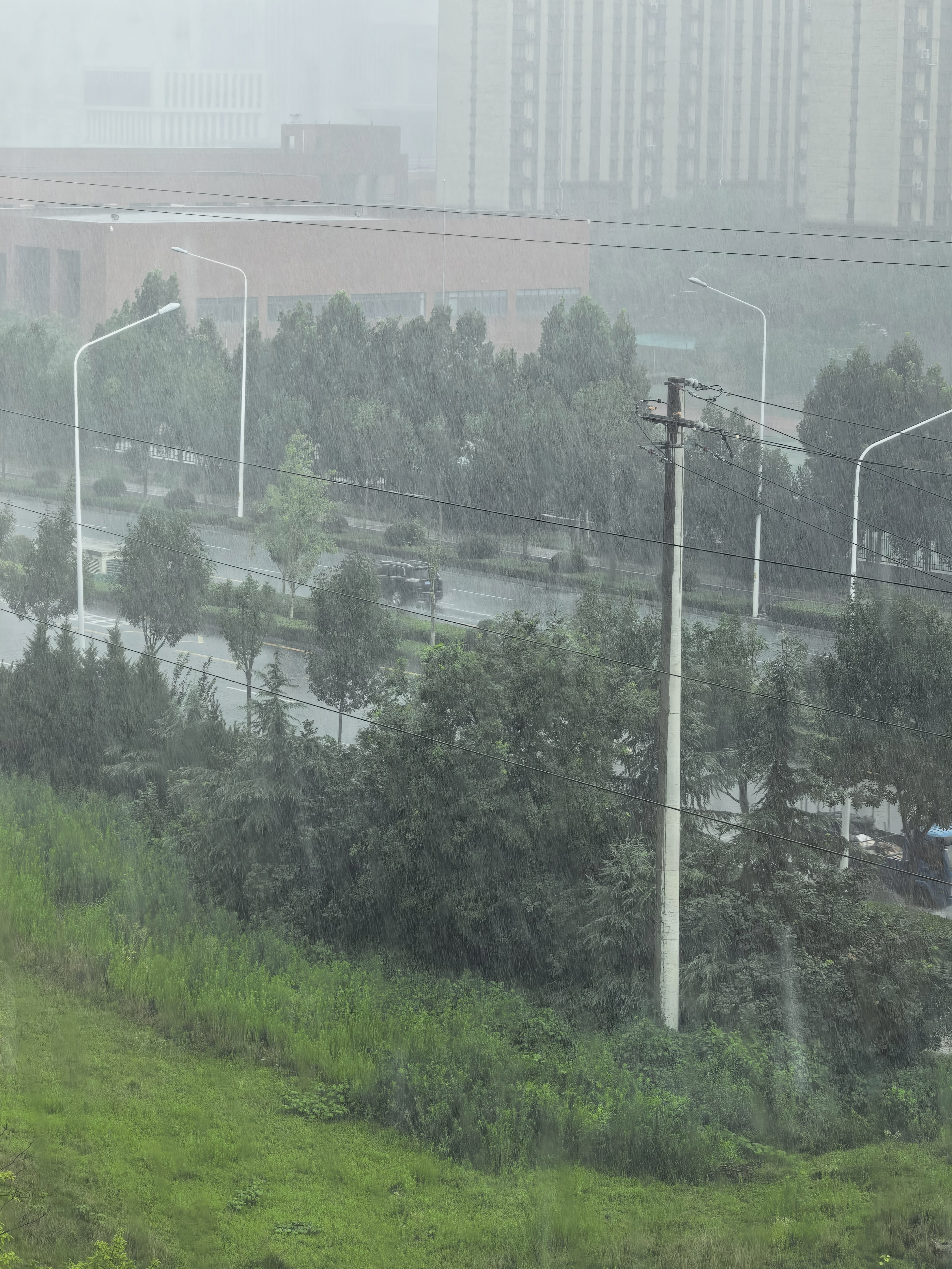 睡醒午觉起来看到又又又又下雨了，在记忆中感觉济南夏天下雨天也没那么多啊