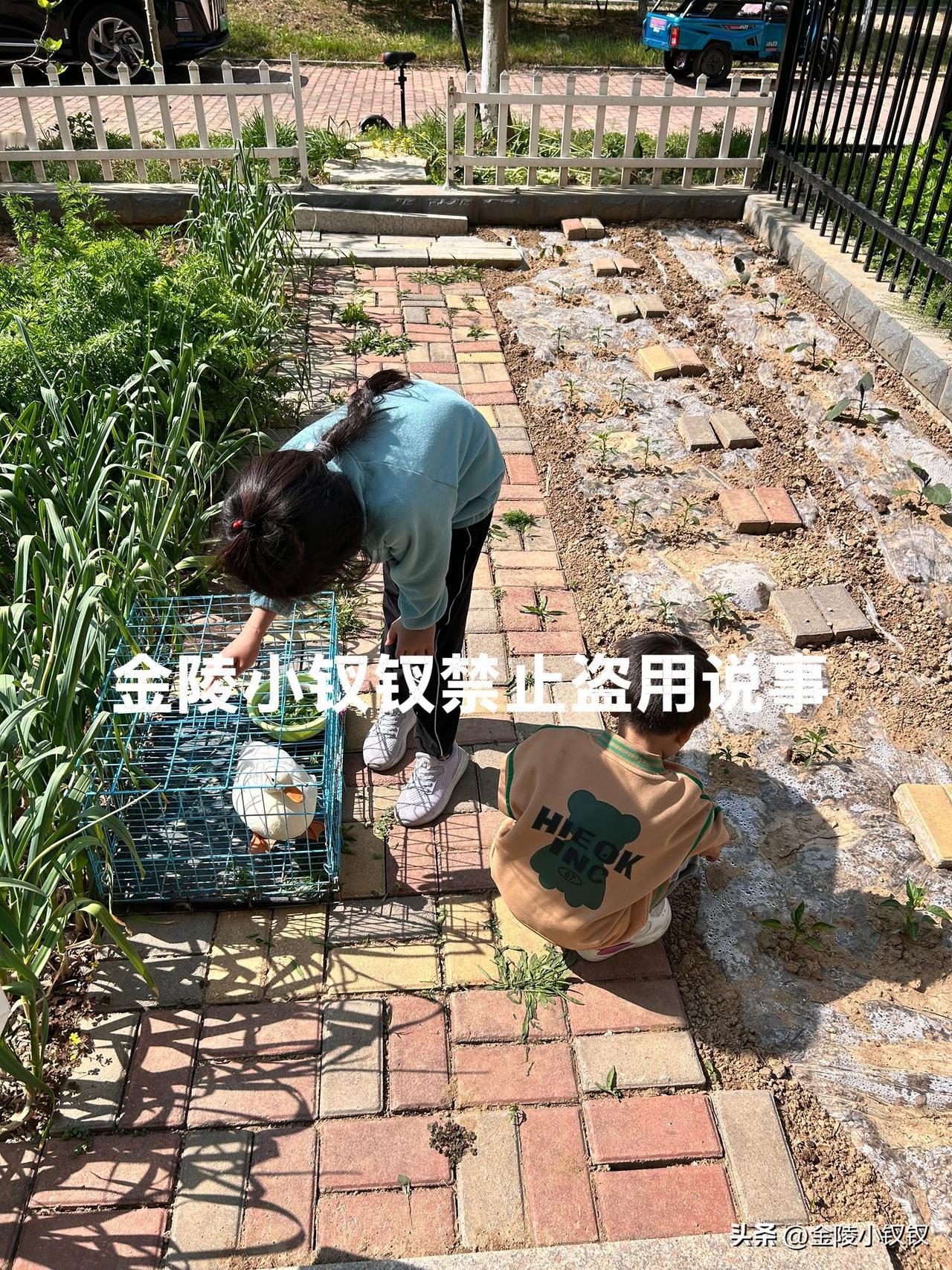 这一刻，我觉得一切都值了！

今天一早去赶集，回来的时候就看到孙子小虎和孙女宝儿