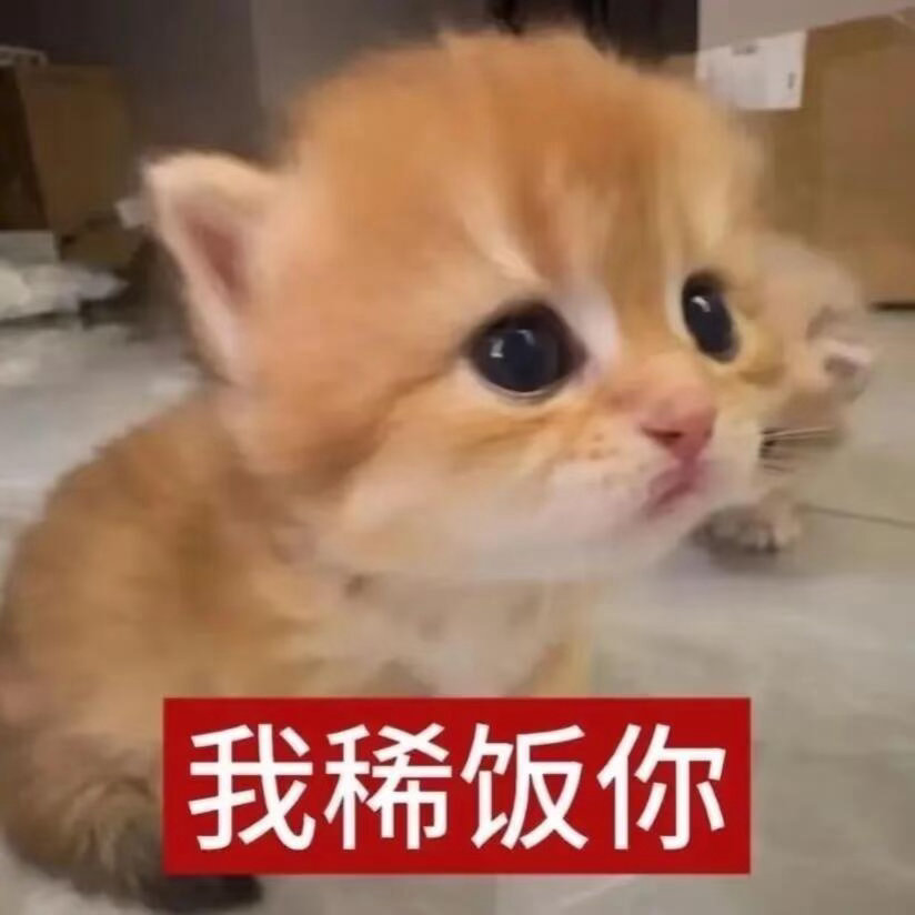 表情包[超话]  你为什么不理我🥺 ​​​