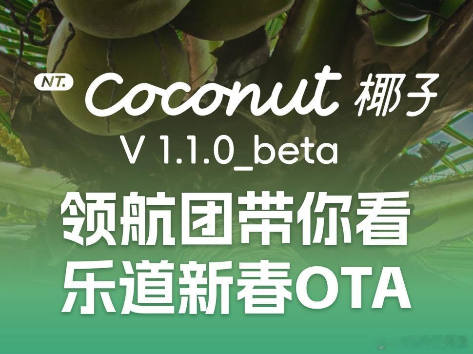 据说在V1.1.0更新之后，增大了开关车门时车窗下降的幅度，从而更快的平衡气压，