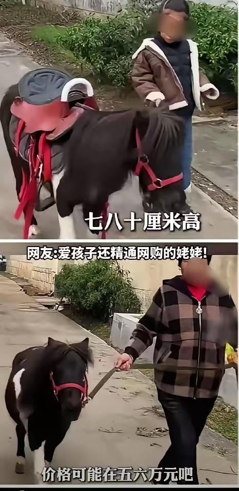 真没想到！一位年过六旬的奶奶，第一次在网上买东西，一下子就花了五六万，结果是为了