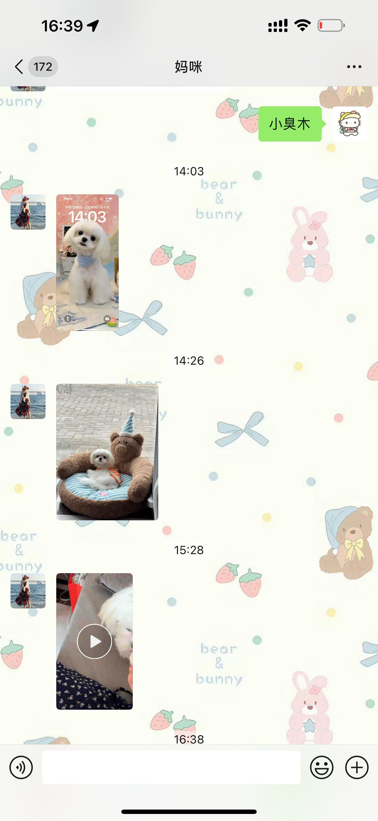 笑死我了…….小臭木真的俘获了amy的芳心 ​​​