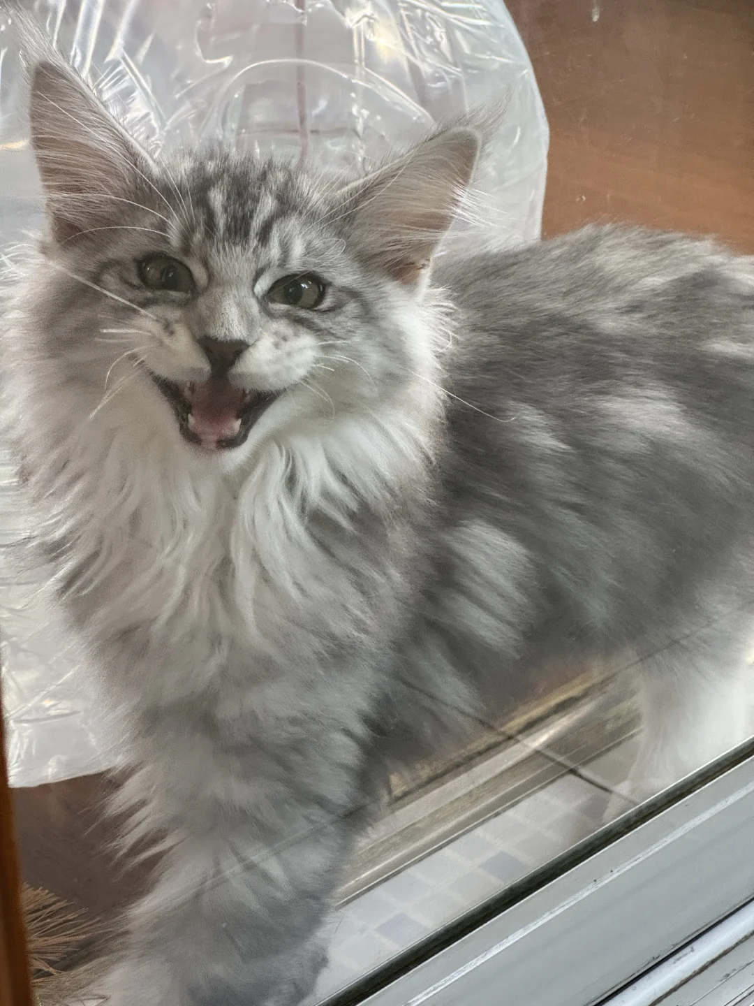 坏妈妈，你终于回家啦