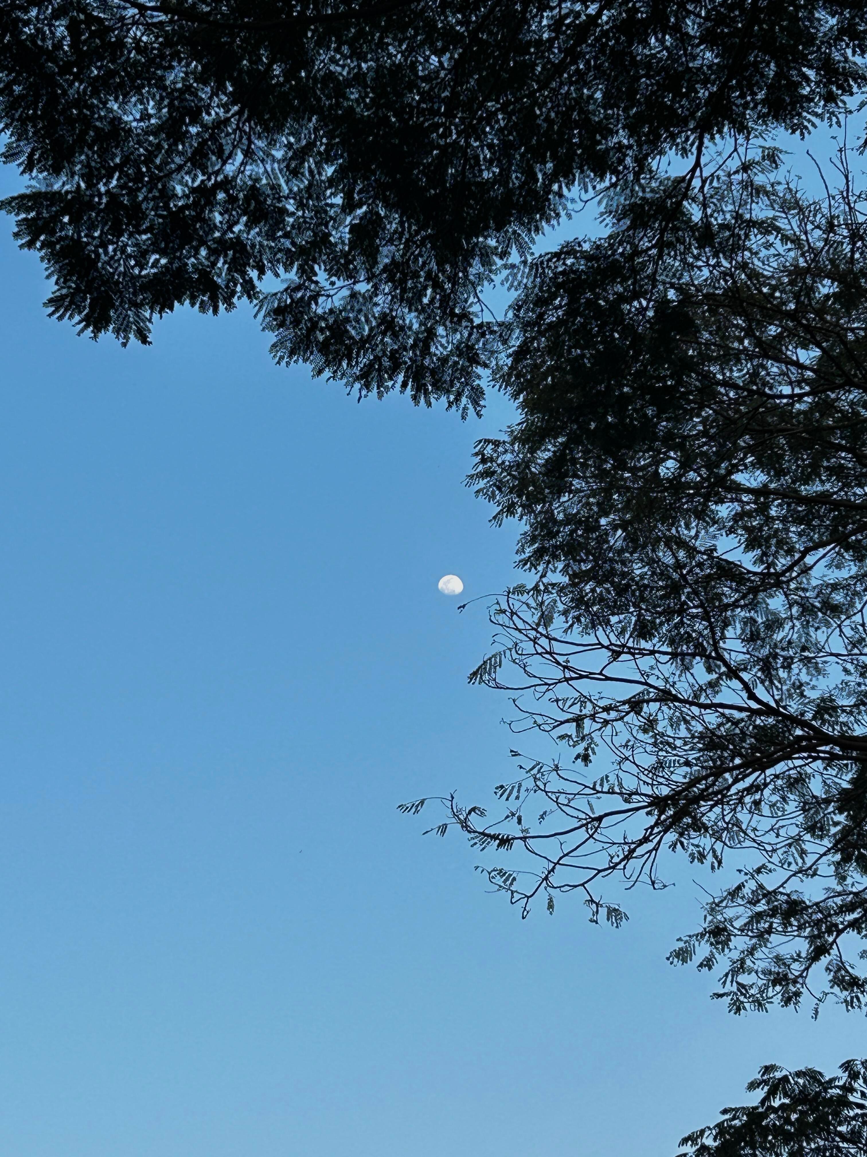 ♫⑉ᑭᕼOTO🥘负责吃好喝好没烦恼 