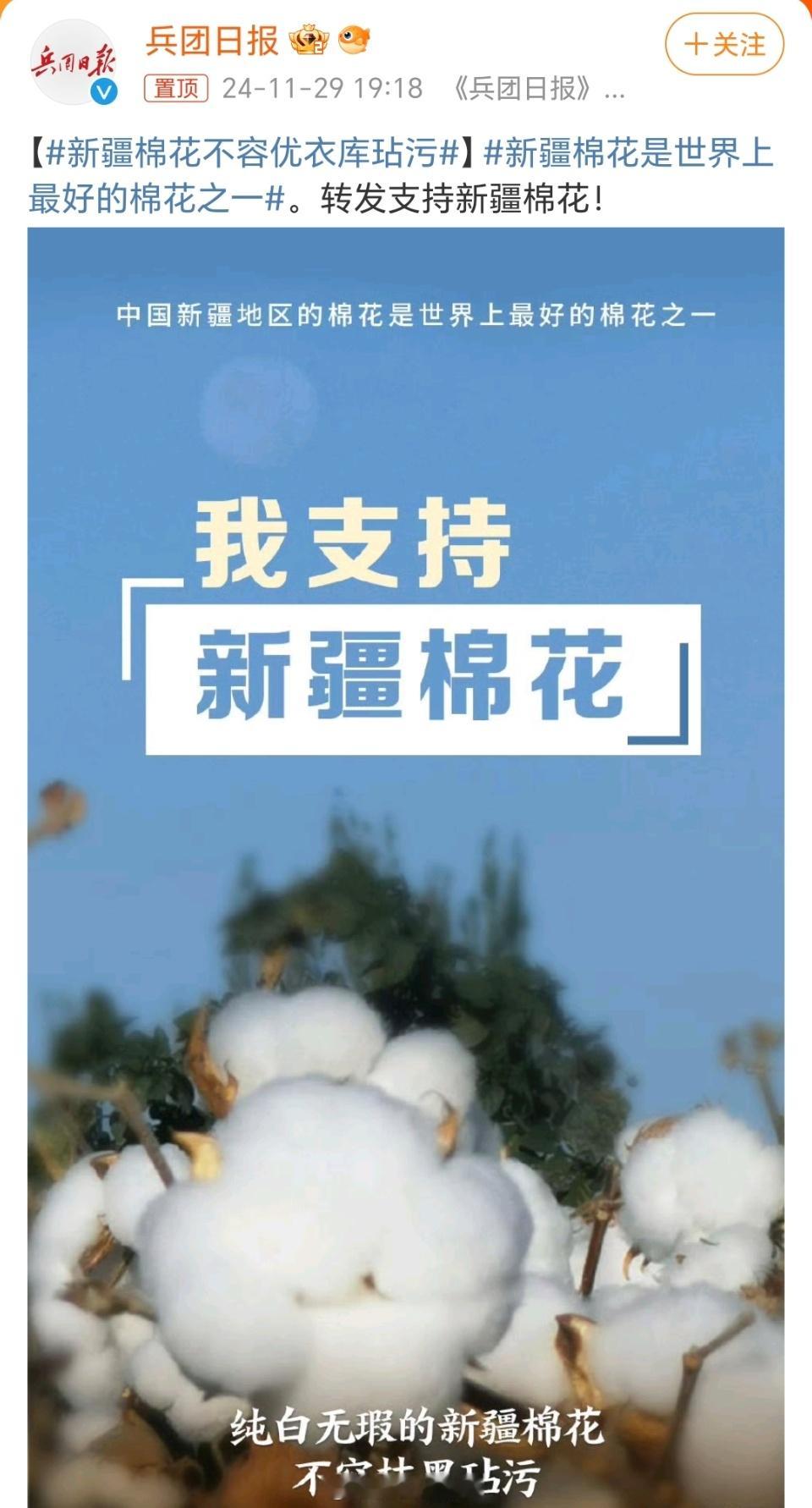 纯白无暇的新疆棉值得被爱 新疆棉花的种植环境得天独厚，新疆地区的光照充足、昼夜温