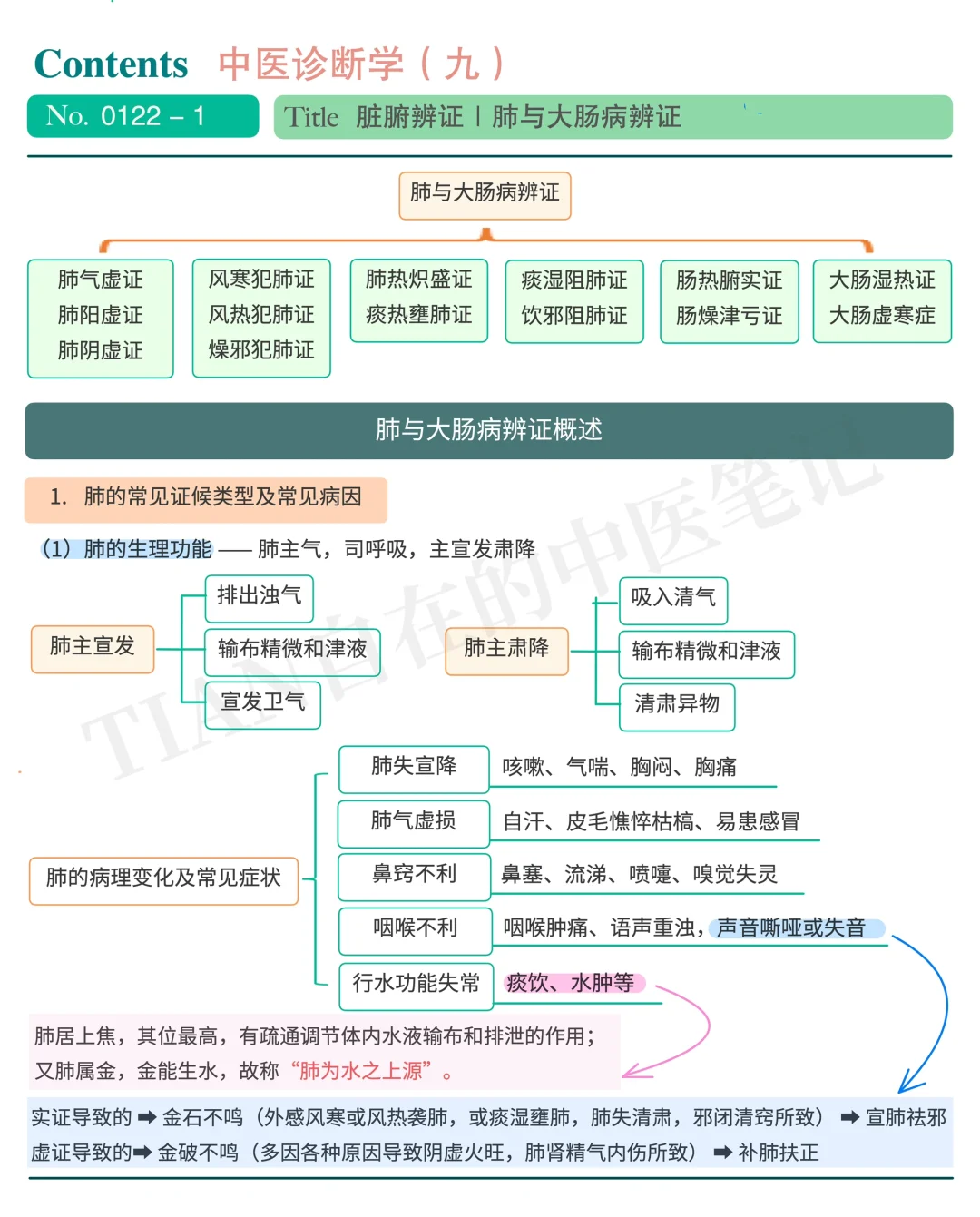 一起学中医｜第122天｜肺与大肠病的辩证（上）