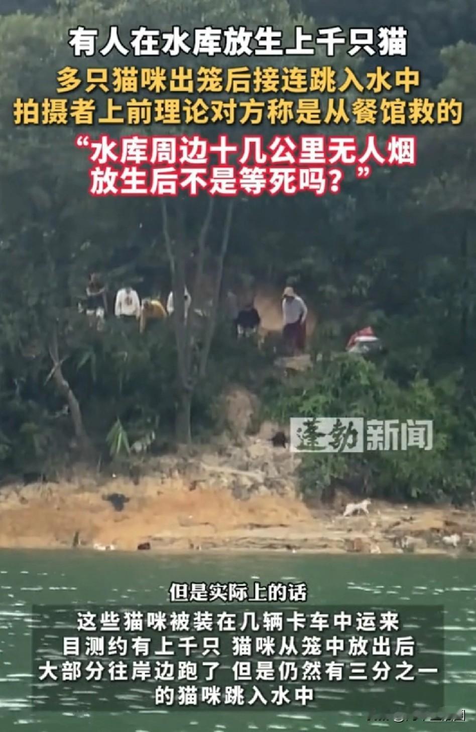 又是放生惹的祸，为什么有些人这么热衷放生，实在想不明白。

广东清远迎嘴水库放生